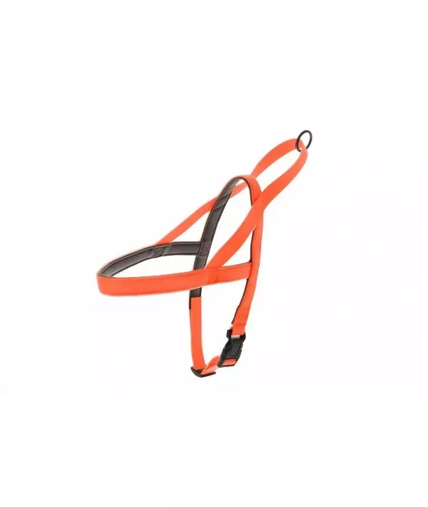 Светящаяся силиконовая шлейка Ferribiella, оранжевая 2x58-76см