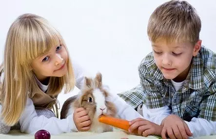 Кролик для ребенка