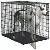 Клетка для собак MidWest Solutions 137х94х114h см 2 двери черная