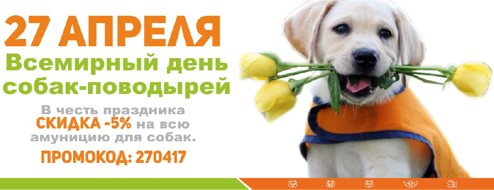Международный день собак поводырей. Всемирный день собак. Международный день щенка. Всемирный день собак поводырей. Международный день собак праздник.